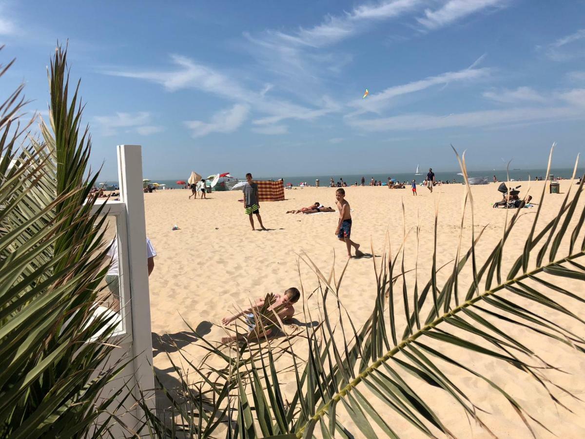 Panoramic View On Beach, Ships, Sea - Place To Be Oostende Buitenkant foto